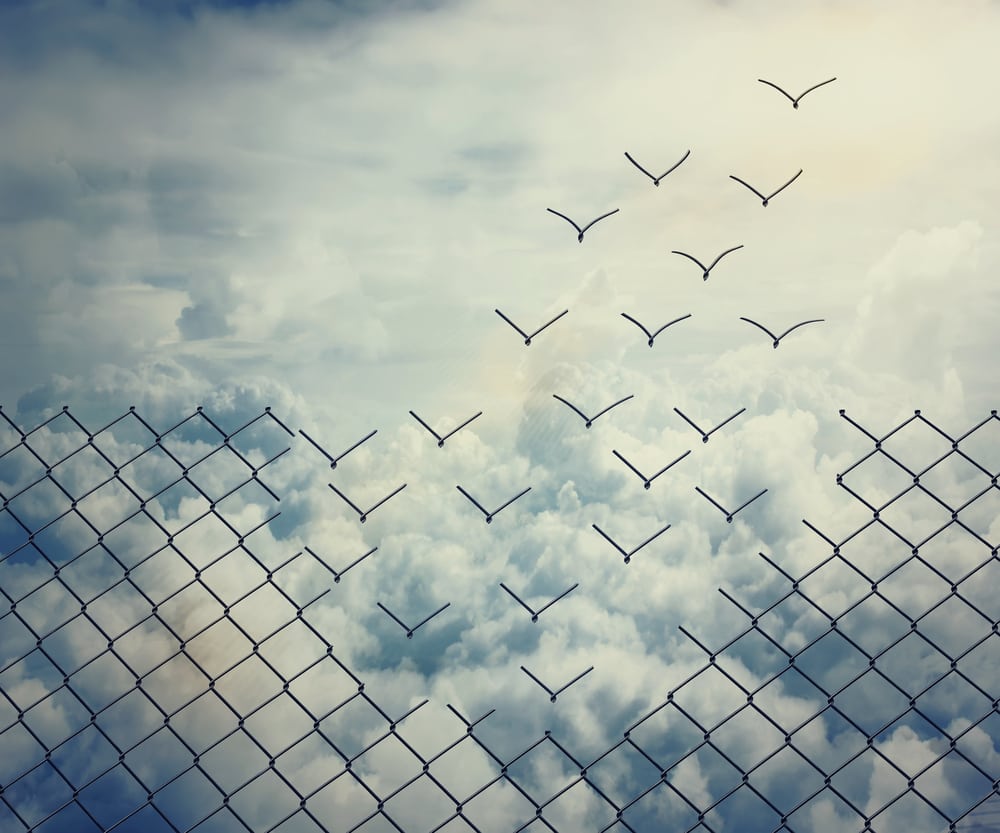 A chainlink fence with a few links that appear to be transforming into birds flying away into the distance.